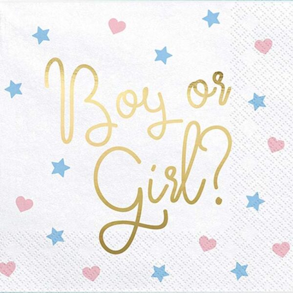 Χαρτοπετσέτες "Boy or Girl" για Gender Reveal (20 τεμ)