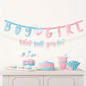 Σετ Μπάνερ Gender Reveal (2 τεμ)